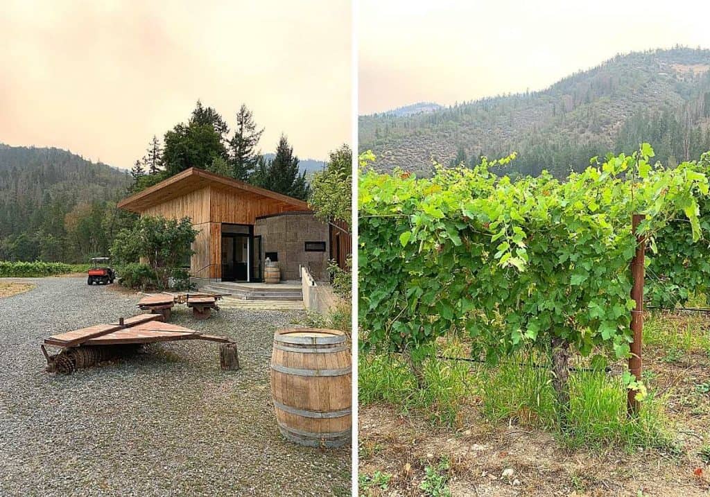 Cowhorn Vineyard tasting room and vines