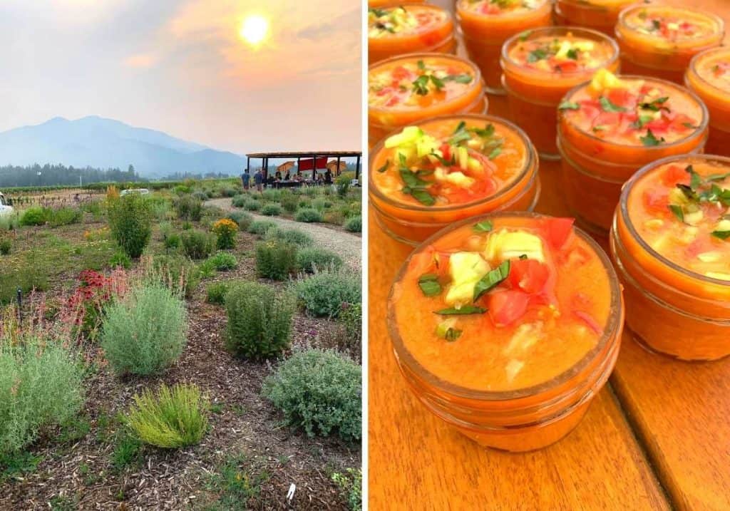 Smoked Tomato Gazpacho cups