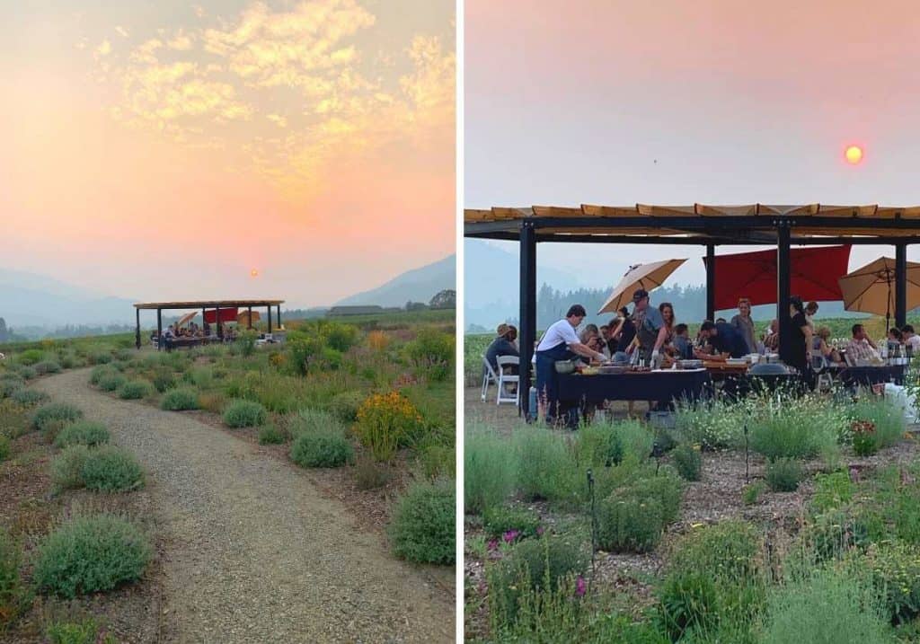 Outdoor dining table at Troon Vineyard