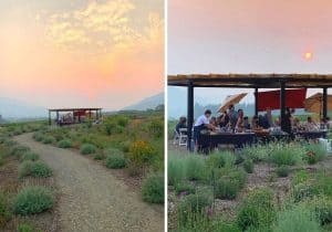 Outdoor dining table at Troon Vineyard