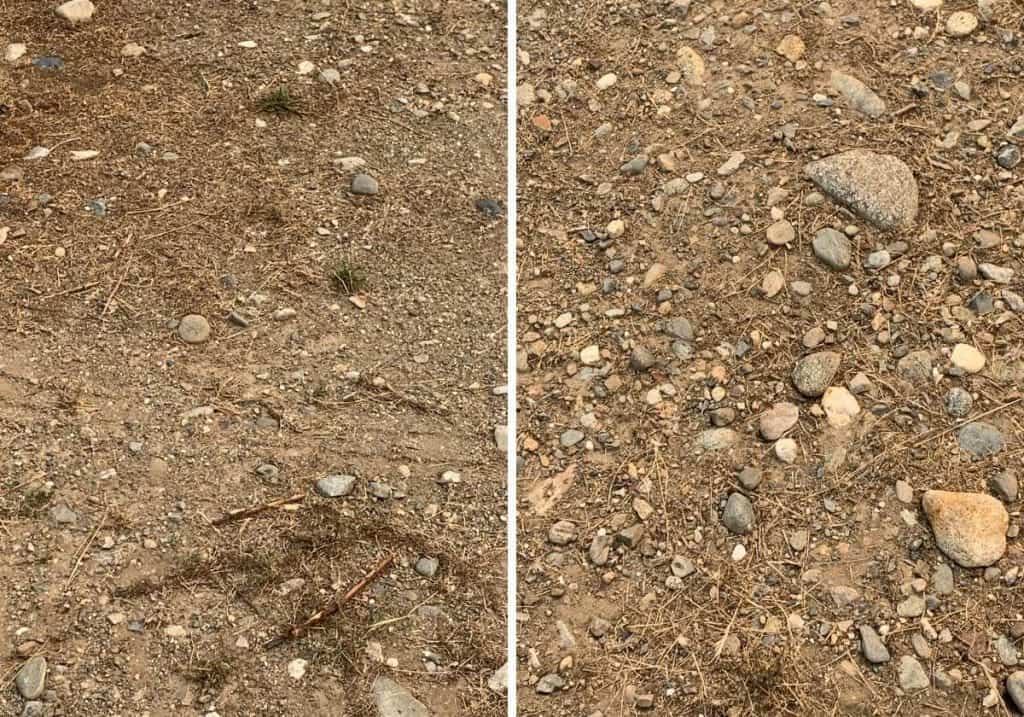 soil at Cowhorn Vineyard in Oregon