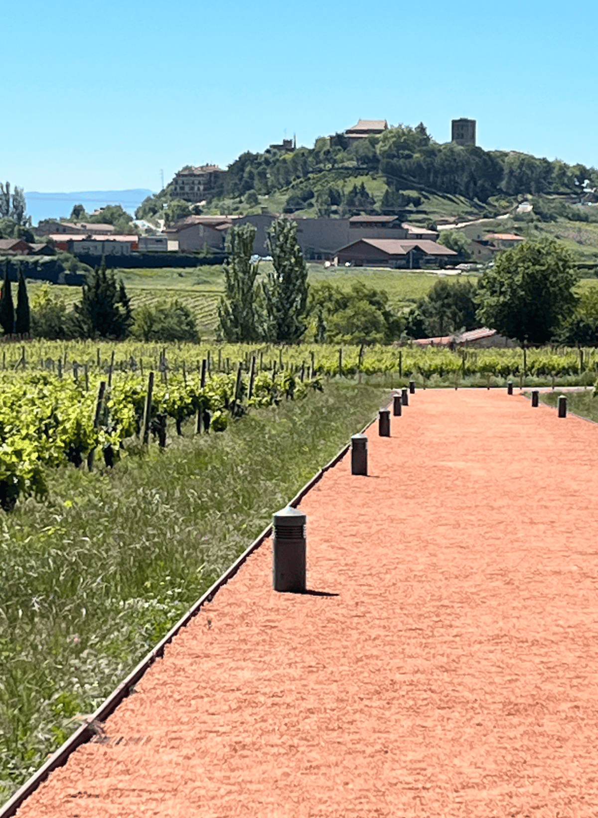View of the hilltop village of La Guardia, Spain