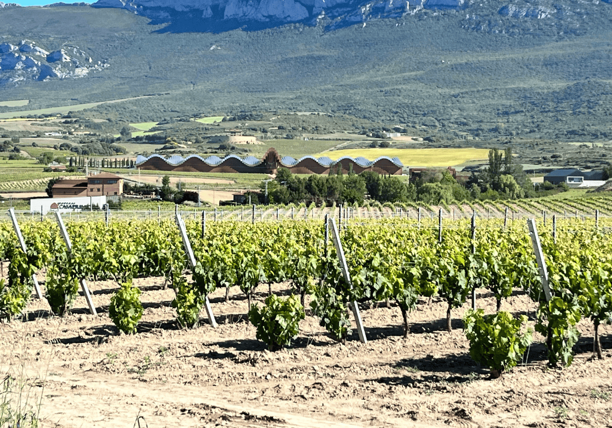 View of Ysios winery in Rioja, Spain