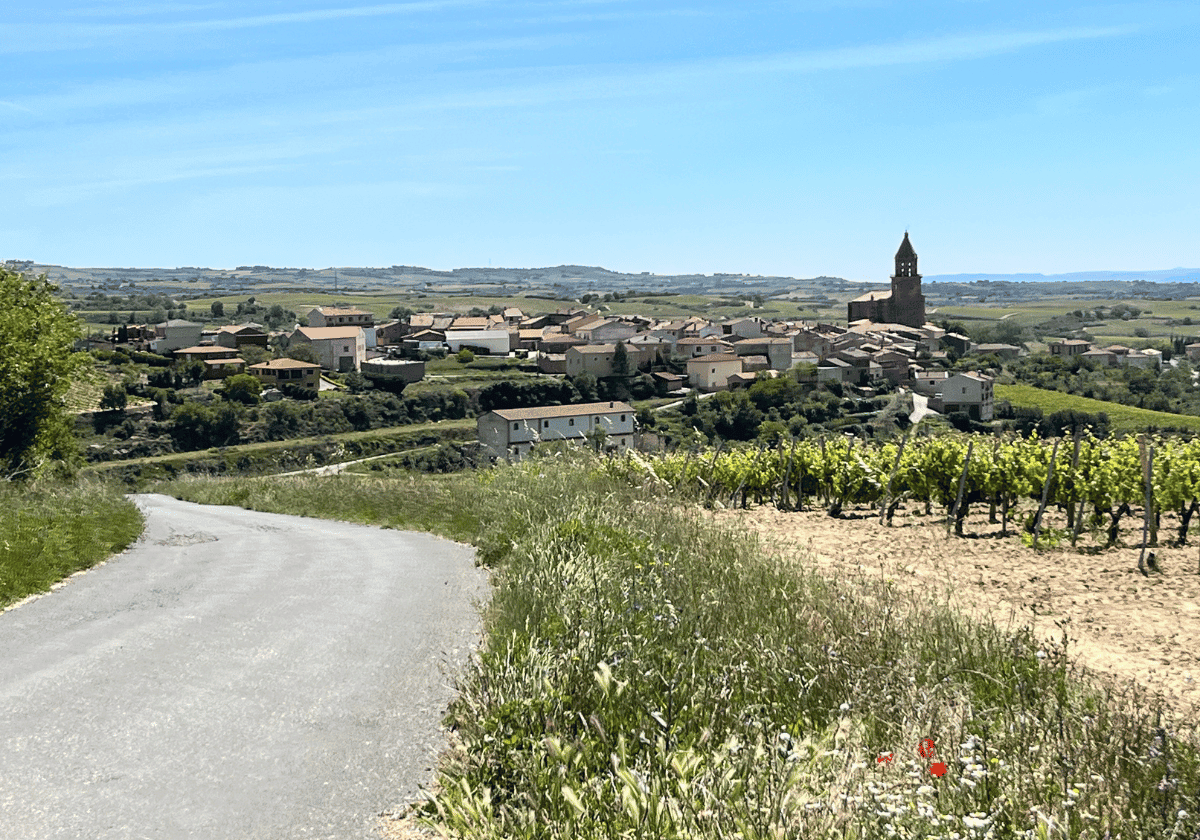 View of the town of La Guardia, Spain
