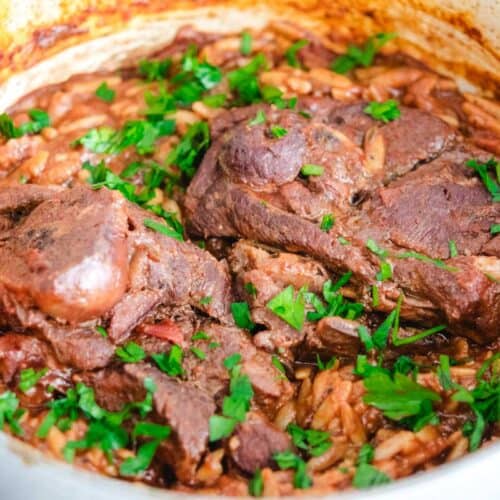 Lamb Manastra in a gray pot
